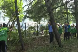泰安肥城市园林绿化中心暴风雨后积极有序清理倒伏树木视频封面