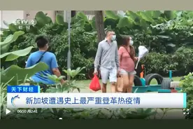 雪上加霜！新加坡遭遇史上最严重登革热疫情，感染病例已超2万，死亡19例图片