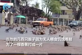 博物馆的2020年太难了图片