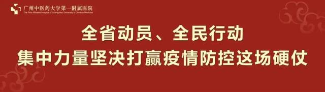 松茸花胶鸡的做法大全 2026年松茸花胶鸡汤的做法 松茸花胶鸡的做法大全 2026年松茸花胶鸡汤的做法