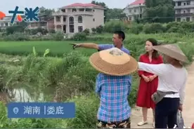 海归女硕士包下2千亩荒山当农民图片