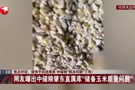 禁带手机进粮库  中储粮“解决问题”了吗？  网友曝出中储粮肇东直属库“储备玉米质量问题”视频封面