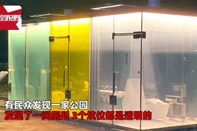 日本公园现透明厕所，锁门自动变雾面30分钟后恢复，有网友担心这件事图片