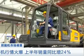 “来5亿元钱的”！挖掘机火到租不到！有人仓库囤了200台……释放什么信号？图片