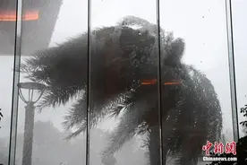 台风“黑格比”登陆浙江乐清！惊涛拍浪，响声震天……图片
