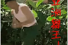 “赵四”扮演者酒驾？本人否认后，无锡交警火速发了个通报……图片