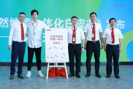 地墙一体化：地材行业的下一个风口？图片