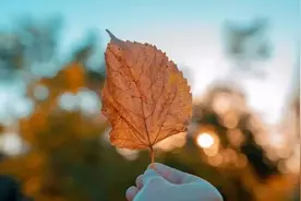 好书大家读图片