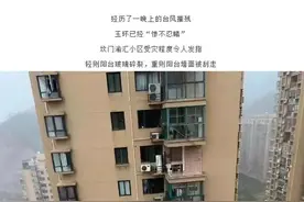 “黑格比”登陆，女子凌晨关窗，连窗一起被台风从11楼吹落…图片