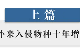 物种入侵威胁加剧，我国外来物种入侵增长快、牵涉面广图片