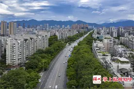 打造特色花街！福州金山大道要变身“大公园”啦图片