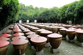 成渝文博周③｜走进博物馆“隐秘的角落”看水下40米的文物奇观图片