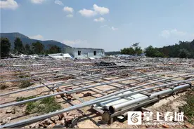 五华区西翥街道打响“大棚房”清理整治攻坚战图片