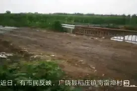东营一灌溉水渠发黑发臭！村民质疑是附近污水处理厂直排污水图片