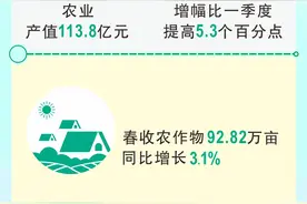 上半年产值166.56亿！工业化思维助惠州农业全产业链高质量发展图片