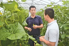 4名农民这样评上正高职称图片