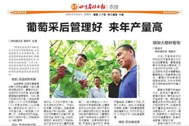 猪丹毒的防治方法图片