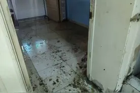 下水道返臭水屋里成“化粪池”，物业推测楼上住户乱丢厕纸致堵塞图片