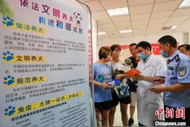 安徽合肥：犬证办理进社区 全市发放犬证1.9万枚图片