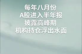 中国财富报道｜国家队调仓路线图抢先看!最牛股大涨373%视频封面