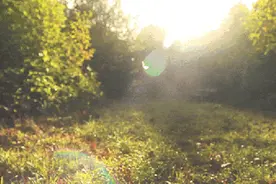 夏日荐香 | 香水情绪不及能言说的万分之一图片