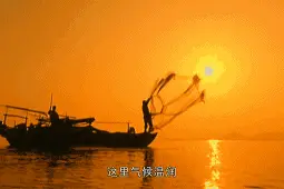 10月1日起，太湖将禁捕10年！这些肥美“湖鲜”再不吃就要错过了图片