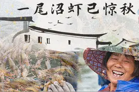 【四季的味道IV】一尾沼虾已惊秋视频封面