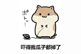 别再好奇拉飞机应急舱门了！这里有份代价清单图片