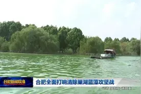 合肥宣布！全面打响清除巢湖蓝藻攻坚战图片
