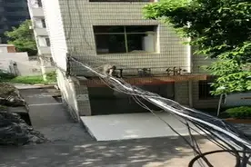 “猴哥”大闹校园！上房揭瓦敲窗讨食 居民又气又无奈图片