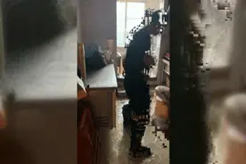 南宁一小区逢雨必涝，居民无奈买抽水机排水图片