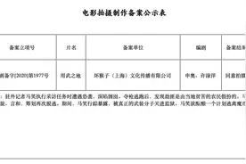 《受益人》导演申奥新作立项 定名《用武之地》图片