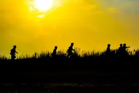 速看 | 入伍前，这份陆军兵种大全记得收好图片