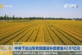 放大招！中央下达山东农田建设补助资金42.97亿元，农户们快看看视频封面