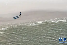 壮观 航拍德国旺格奧格海滩夏日图片