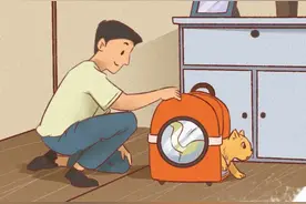 喵喵喵喵喵图片