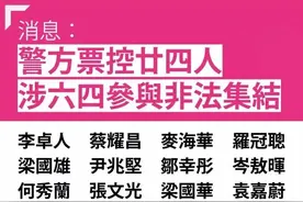 特区政府打出“连续杀招”，乱港分子真的慌了图片