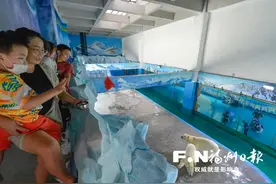 永泰：文明投食 孩子与北极熊宝宝共度生日图片