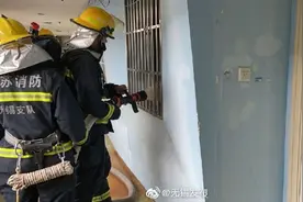 宠物也有“熊孩子”，这次把燃气管道咬断了图片