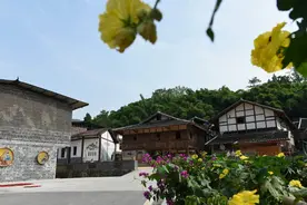 邻水县金垭村：小康路上奔小康 贫困村不再被“困”图片