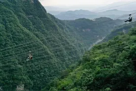 湖南张家界：高空滑索乐中游图片