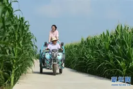 暑假，去爸爸的扶贫村图片