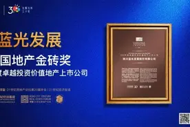 蓝光发展斩获“地产界奥斯卡”，凭精准投资抱了块“金砖”图片