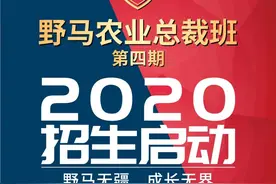 野马：那个只招80后的总裁班招生了图片