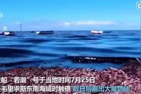 拯救“黑湾”！毛里求斯十多万志愿者加入清洁行动图片
