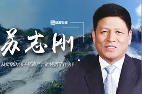 广东最大的隐形富豪：从卖猪肉到千亿资产，他经历了什么？图片
