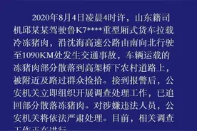 7吨猪肉遭“捡拾”，近30万元损失无法追回？7年前相似一幕收获不同结局图片