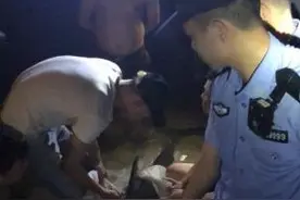 成年海豚受伤搁浅三亚海边 多部门联合救助图片
