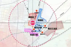《上海金山区枫泾镇JSS10201单元（国际商务区）控制性详细规划局部调整（实施深化）》获批图片
