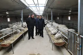 传承“南梁精神”——记中国化学工程集团有限公司挂职扶贫干部邱军图片